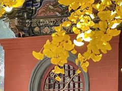 -洛阳白马寺