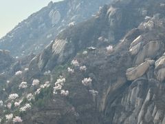 -北京凤凰岭