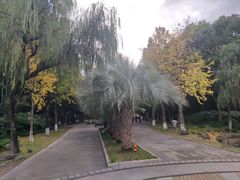 -苏州河梦清园环保主题公园