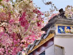 -深圳国际园林花卉博览园