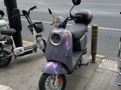 -绿源电动车(普陀专卖店)