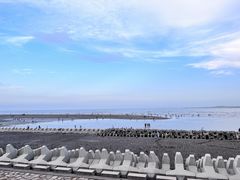 -南汇新城海滩