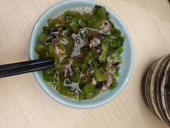 -岭南站NOVA