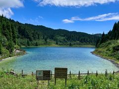 -武陵山森林公园