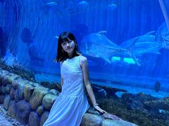 -华夏文旅西安度假区