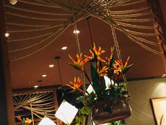 -云海肴云南菜(正大广场店)