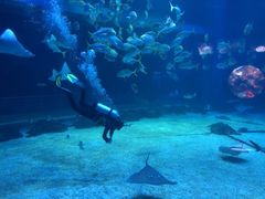 -烟台海昌鲸鲨海洋公园