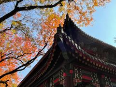 -灵谷景区