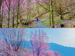 -九皇山景区