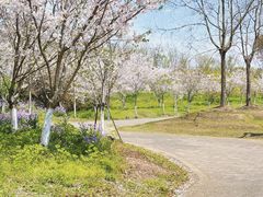 -上海海湾国家森林公园