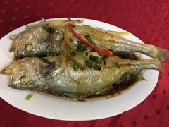 -蛇口康乐快餐鱼仔档(翠苑小区店)