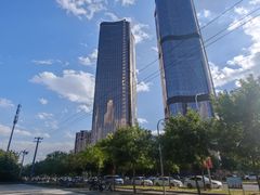 -大望京公园