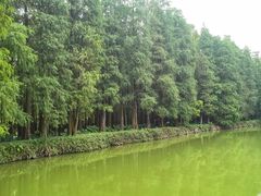 -星湖旅游景区七星岩