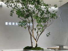 -喜茶(深圳东门1234店)