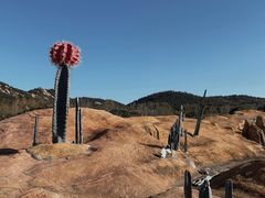 -西海岸生态观光园