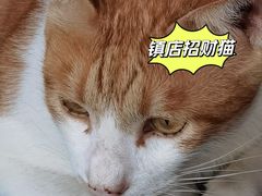 -蛇口康乐快餐鱼仔档(翠苑小区店)