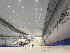 -哈尔滨热雪奇迹