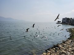 -大理洱海