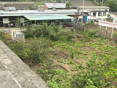 -遥桥古堡