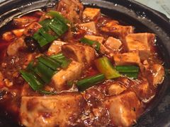 -陈麻婆豆腐总店
