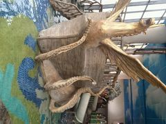 -月亮河温泉度假酒店