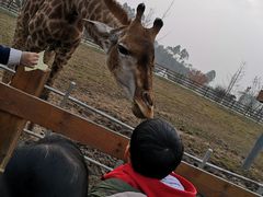 -黄龙溪欢乐田园