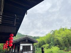 -大唐贡茶院