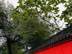 -名善山珍·野生菌汤锅(文殊院店)