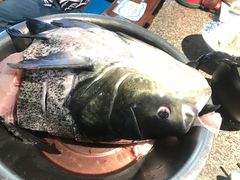 -好灶头妈妈菜·柴火灶台鱼·千岛湖土菜地标美食