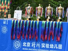 -精诚实验幼儿园潘家园园