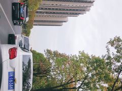-南翔镇银翔湖公园