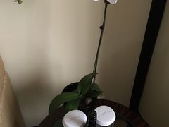 -杭州君悦酒店