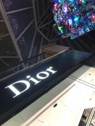 点击看大图 -Dior