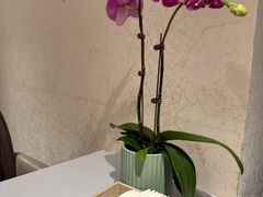 -御苑精品川菜馆(锦江店)