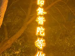 -印象普陀