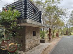 -华侨城湿地公园