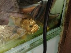 -吕氏疙瘩汤·新派鲁菜(东城万达广场店)