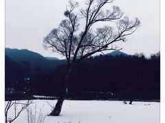 -大水川景区