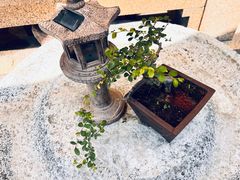 -蟹村草堂·苏式园林人文农家·大闸蟹