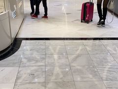 -乐天免税店(明洞店)