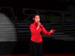 -陕北民歌大舞台