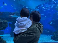 -海合安成都极地海洋公园