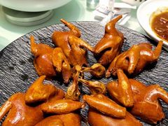-三强鸽子(胜利路店)