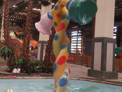 -南宫温泉水世界