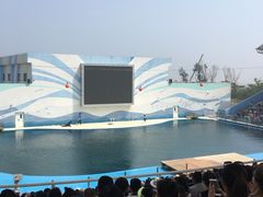 -北戴河圣蓝海洋公园