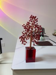 -美肤盾祛痘·问题肌头疗管理中心