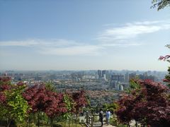 -峙山公园