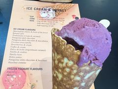 -Patagonia Chocolates(皇后镇店)