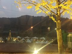 -重庆南山海昌汤都