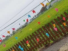 -莲花岛景区